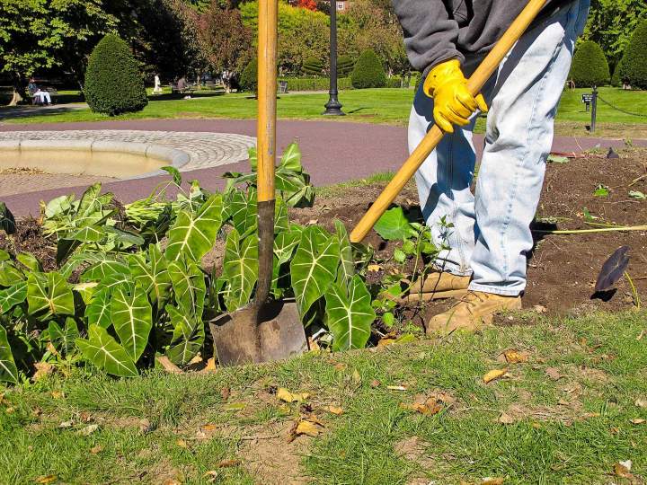 Entretien de jardin Chartres